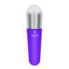 Funky Fun Toys TOYJOY Mini Vibro Funky Viberette Violet